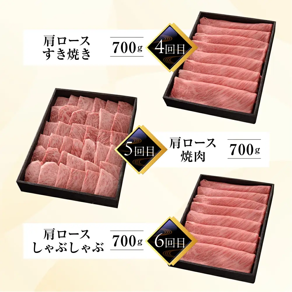 【定期便 6回】飛騨牛食べ比べ 【冷蔵配送】【39-A】
