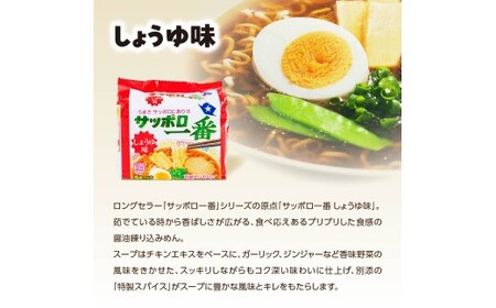 ラーメン サッポロ一番 5種セット 袋麺 計30食 ラーメン