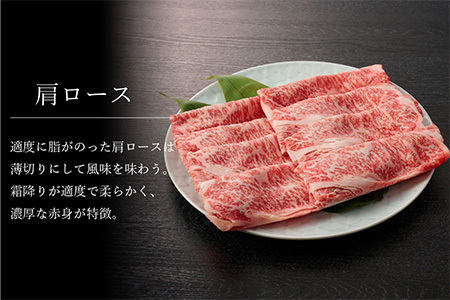 【3回定期便】佐賀牛特選食べ尽くし贅沢セット (H996P101)