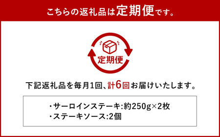 【全6回定期便】長崎和牛サーロインステーキ 250g×2枚 ／ 合計3kg (12枚) 国産 肉 お肉 和牛 ステーキ 長崎県 長崎市