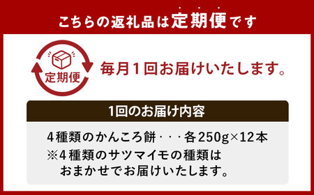 【全6回定期便】外海のかんころ餅 (4種類) 食べ比べ 12本 ／合計72本 和菓子 お菓子 菓子 スイーツ デザート 芋 おやつ 餅 お餅 郷土菓子 長崎県 長崎市