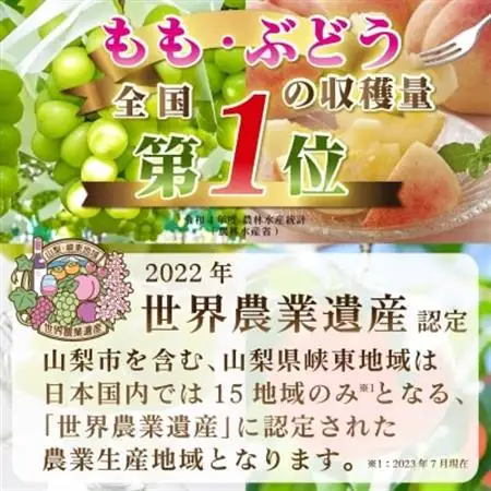 【発送月固定定期便】2026年発送 山梨フルーツ旬の果物 桃+シャインマスカット 全2回_甘いシャインマスカット あまいシャインマスカット 美味しいシャインマスカット おいしいシャインマスカット 人気のシャインマスカット 瑞々しいシャインマスカット _【配送不可地域：離島・沖縄県】【4057484】