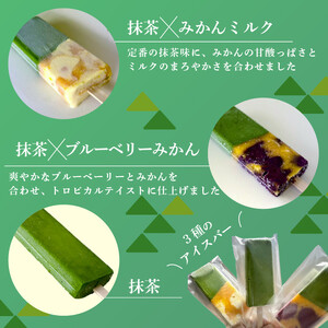 京都 濃厚抹茶とフルーツのアイスバー3種 6本セット アイスクリーム 抹茶スイーツ