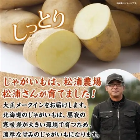 十勝 玉ねぎ 5kg メークイン じゃがいも 5kg 計10kg 農家さんのお野菜 北海道 帯広市_野菜 玉ねぎ  たまねぎ タマネギ  野菜 じゃがいも いも ジャガイモ 馬鈴薯_【1514129】