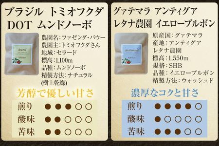 数量限定 コーヒー ドリップバッグ 5種類 無糖 送料無料 グァテマラ ブラジル インドネシア エチオピア コチャレ ゲイシャ 全種セット