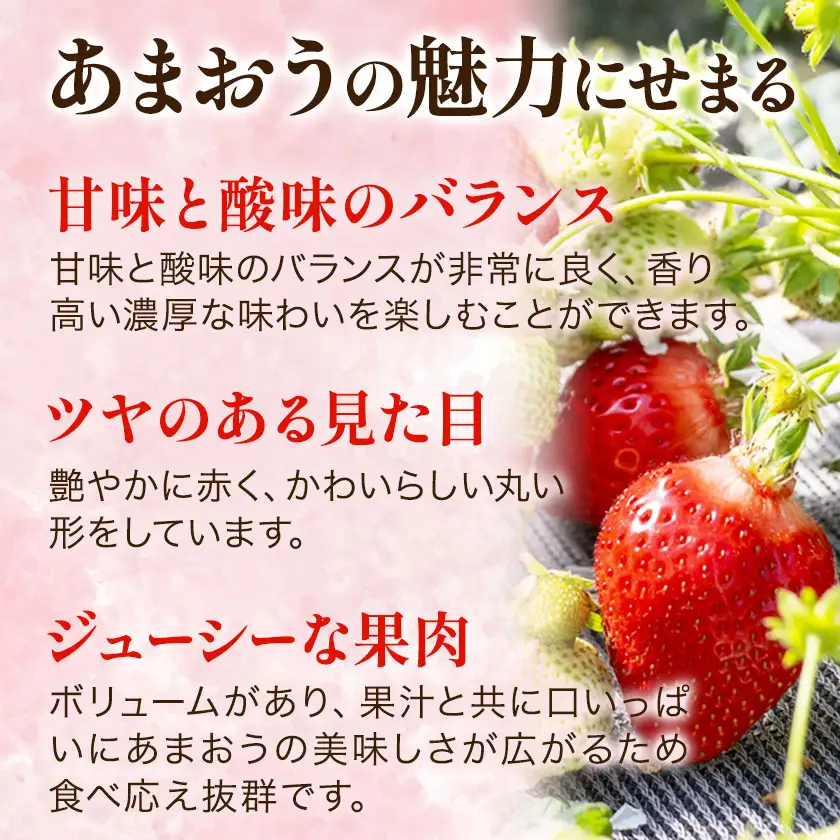 福岡県産 冷凍あまおう 小分けパック 1kg(250g×4袋) 株式会社木村食品《30日以内に出荷予定(土日祝除く)》福岡県 鞍手町 冷凍あまおう いちご 冷凍フルーツ 果物 送料無料