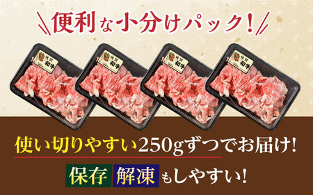 【定期便】牛肉切り落とし 計1kg NAC166 牛肉 全6回