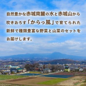 野菜 赤城南麓で育った季節の野菜