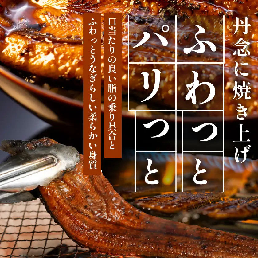 宮崎県育ちのうなぎ蒲焼2尾300g以上≪山椒・たれ付≫_13-M301_(都城市) 有頭 真空