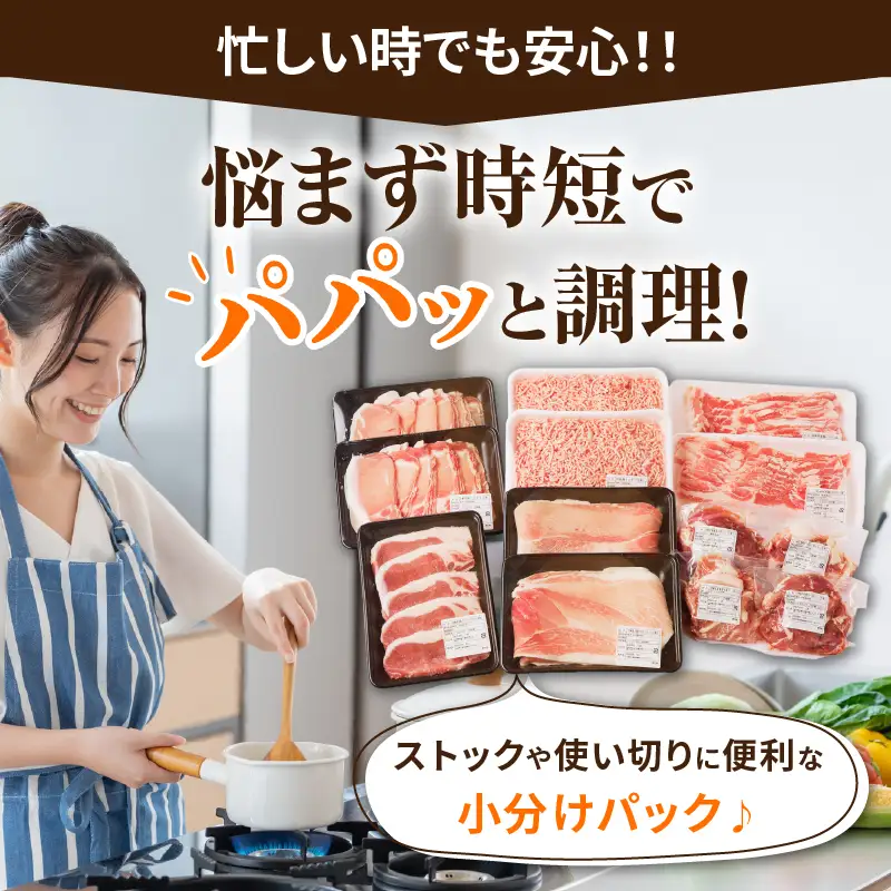 【2週間以内発送】≪宮崎県産≫豚肉6種＼てげスゲーセット／合計4.5kg 肉 豚 豚肉 おかず 国産_T009-0325-2W
