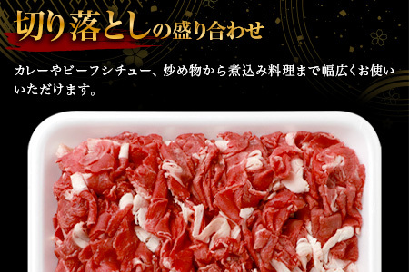  牛肉 宮崎県産 和牛 切り落とし 900g ×2（1,800g） 牛肉 肉 切り落とし肉 TK-99