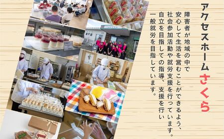 《2026年10月以降順次発送》菊のタルト10個入り【特定非営利活動法人アクセスホームさくら】
