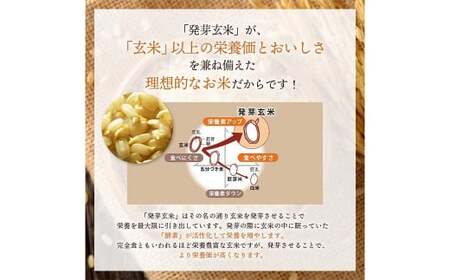 特Aひとめぼれ米 残留農薬ゼロ 発芽玄米 1.5kg×10袋(15.0kg)