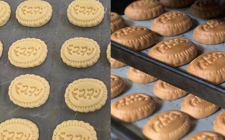 大分県中津銘菓 ビスマン 10個入り | お菓子 菓子 おかし スイーツ 洋菓子 和菓子 饅頭 まんじゅう 餡子 白あん ビスケット 茶菓子 焼き菓子 菓子折り 銘菓 ギフト プレゼント 殿畑双葉堂 大分県産 九州産 大分県 中津市