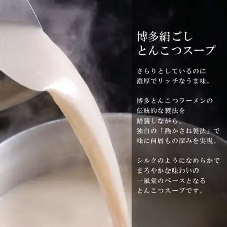 博多一風堂 豚骨ラーメン 白丸1食×5箱 とんこつ博多細麺_ラーメン 博多一風堂 らーめん 細麺 博多豚骨 豚骨 とんこつ 白丸 名店 ブランド 九州 福岡 一風堂 ご当地 贈答 ギフト おすすめ 人気 送料無料 お取り寄せ 国産 常温 セット_【1558464】