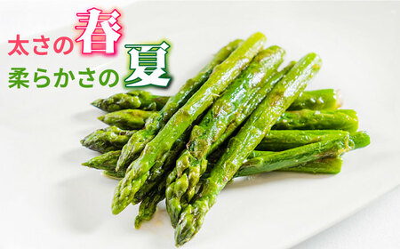 【5回定期便】【星のアスパラ】春＆夏 の グリーン アスパラガス 約1kg / アスパラ 春野菜 野菜 / 南島原市 / ほしのYA[SEY017]
