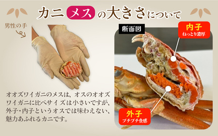 【訳あり】オオズワイガニ メス 甲羅盛 甲羅盛55g前後 2個セット [A-096017] オオズワイガニ