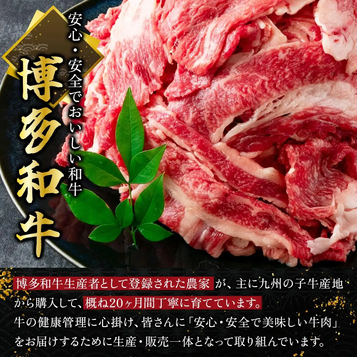 博多和牛 切り落とし赤身・バラミックス800g (400gx2パック) 