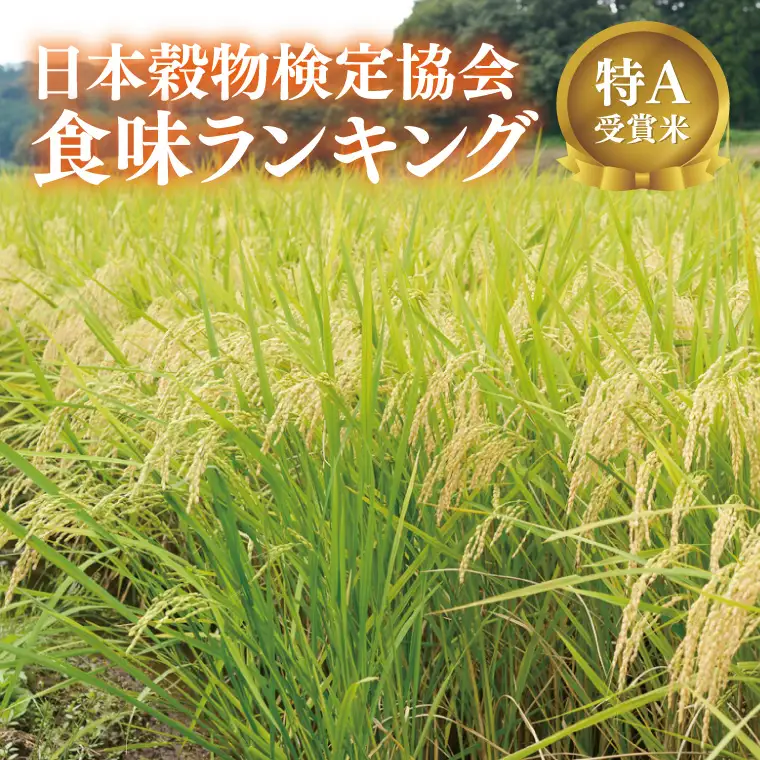 米 令和7年産 とちぎの星 5kg 栃木県産 益子町 AU023-ss
