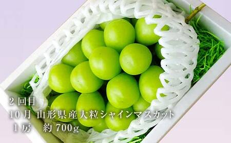 2026年8月発送開始 山形県至高のフルーツ！山形県至上のフルーツ定期便 全3回 F4A-0456
