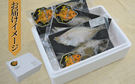 手作り エテガレイ 2枚×3パック 無添加食品 干物 かれい 42-08