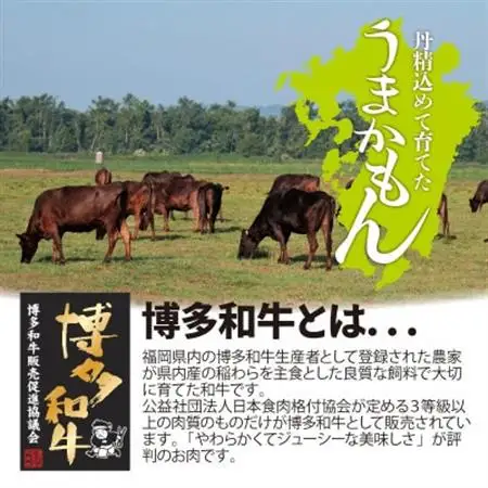 博多和牛直火焼きローストビーフ約500g(約250g×2本)(大牟田市)_肉 ローストビーフ 牛肉 _【配送不可地域：離島】【1551841】
