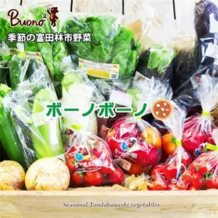 【3枚】南河内野菜たっぷりのボーノボーノピッツァ_惣菜・加工品 ピザ  _【配送不可地域：離島】【1531971】