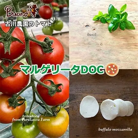 【2枚】古川農園のトマトと水牛モッツァレラチーズのマルゲリータDOC ピッツァ_惣菜・加工品 ピザ  _【配送不可地域：離島】【1531973】
