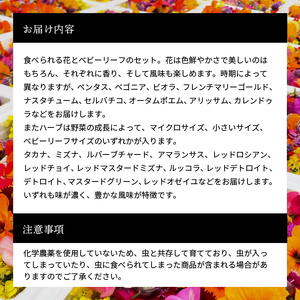 世界の料理人が惚れ込む、広島・梶谷農園のハーブ カジヤスゴイハーブBOX ミシュラン 三つ星 マイクロハーブ　168002