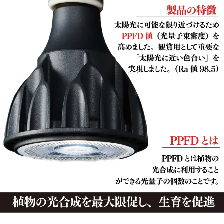 BN037　植物育成ライト「ヘリオスグリーンLED（ブラック）」