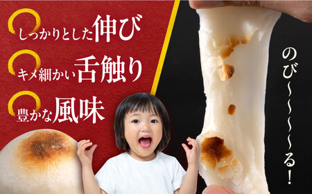 【先行予約】【訳あり】丸餅 6個入り×5パック 30個入り 大容量 もち 餅 【有限会社さかくら総本家】 [AKEI005]