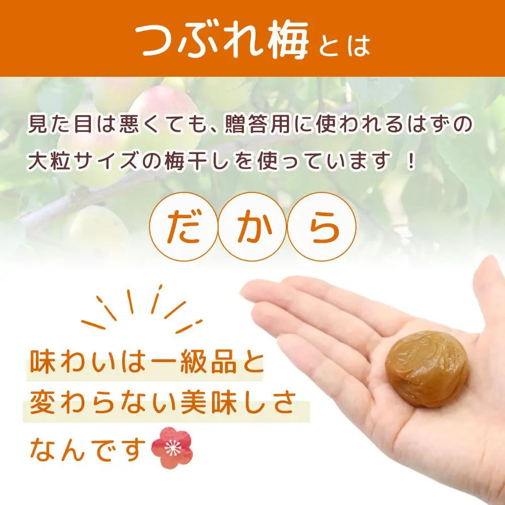 梅干し 塩分約2.7% つぶれ梅干し はちみつ 400g×6個 2.4kg 大粒 訳あり