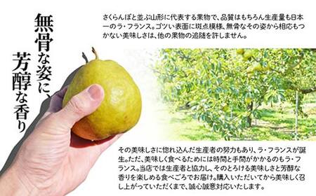 りんご サンふじ ＆ 洋なし ラ・フランス セット 3kg 秀品 ギフト箱入り 山形県産 【令和8年度 先行予約】 FSY-1390