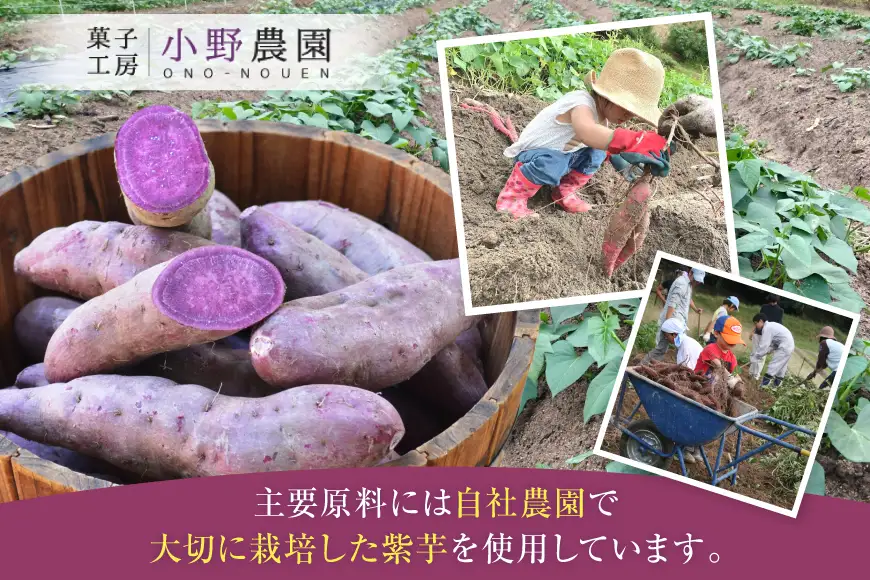 お菓子 筑紫野 初月12個入 [菓子工房 小野農園 福岡県 筑紫野市 21760730]