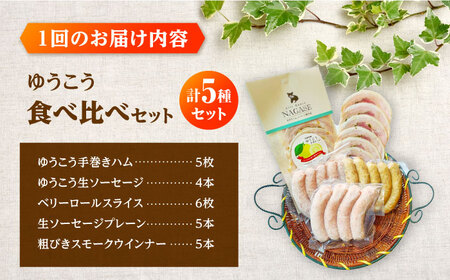 【6回定期便】長崎伝統柑橘【ゆうこう】食べ比べ ソーセージ ハム ウインナー Gris Hause NAGASE / 五島市[PGF011]  ソーセージ 詰合せ 詰め合わせ セット ウィンナー 肉 豚 五島 五島列島 五島美豚