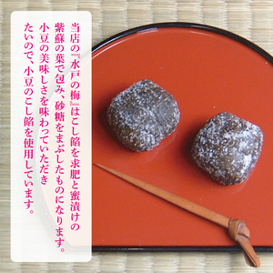 【TVで紹介されました】【木村屋本店】水戸銘菓 水戸の梅 15個入り 160年以上愛される老舗和菓子店（JR-2）