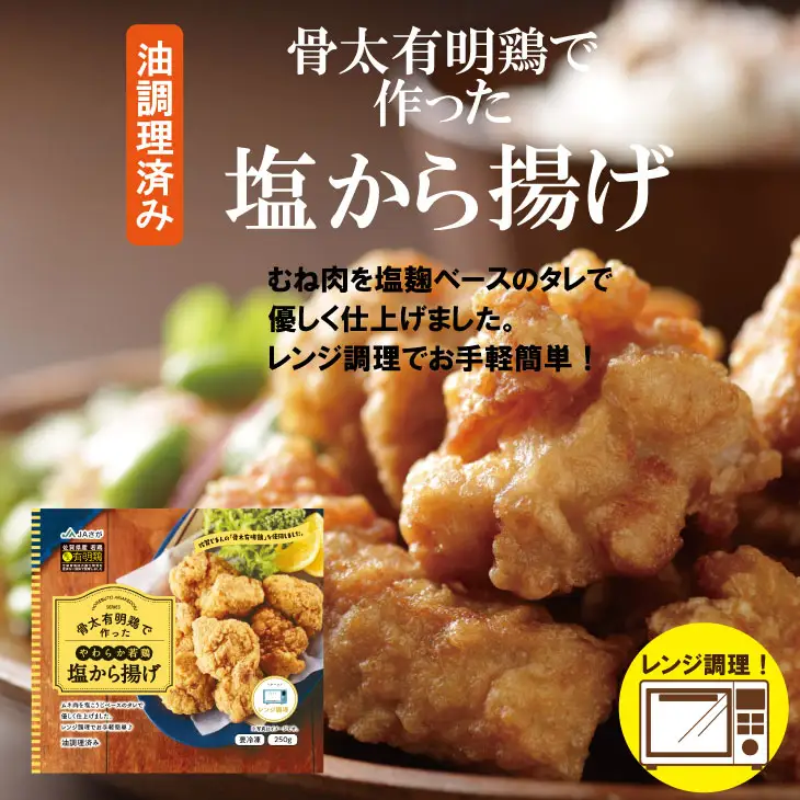 骨太有明鶏 （ チキンナゲット 塩から揚げ ササミチーズカツ ） 加工品 詰め合わせ 簡単 料理 レンチン 鶏3種類 揚げ JAフーズ さが 送料無料 おかず お弁当 セット 人気 ランキング 高評価 鶏肉 国産 佐賀県産 B110-021