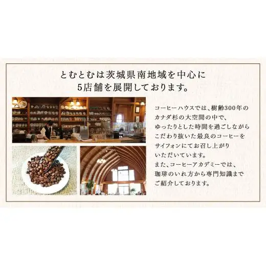 とむとむ 自家焙煎 レギュラーコーヒー 2袋 セット ( 各200g )