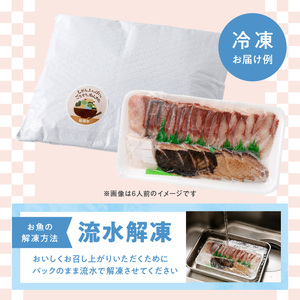 【12ヶ月定期便】大和海商 大和のこだわり漁師のお刺身6人前【冷凍】 N072-YG0258-2