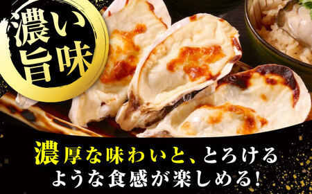 牡蠣 殻付かきグラタン6個 牡蠣[XBP026]