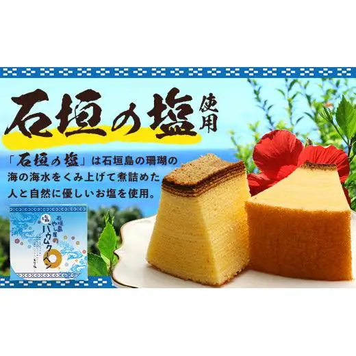 石垣島 やし屋手作り 石垣の塩バウムクーヘン×1箱 ＆ 黒糖バウムクーヘン×1箱（合計2箱）　YA-3