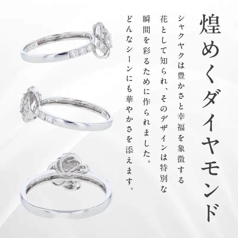 ARC-EN-CIEL プラチナ ダイヤリング 計0.55ct
