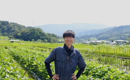 【令和9年1月より順次出荷】京都府産　干し芋(紅はるか) 150g×3袋　さつまいも サツマイモ 紅はるか ねっとり 自家栽培 宮津市 京都府　栽培期間中農薬・化学肥料・除草剤不使用