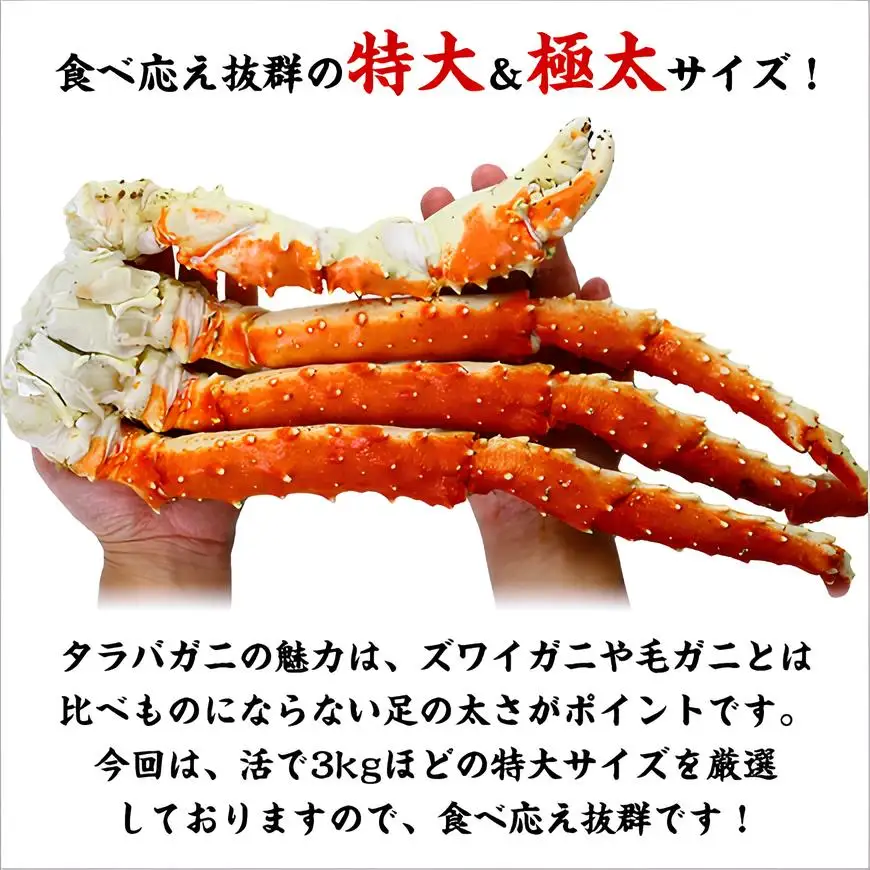 ボイルたらばがに足 1kg（解凍後800g / 1肩） [024-b032]