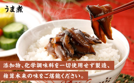 【椎茸ごちそう便】 鶏めしの素×4・うま煮×1  混ぜる 混ぜごはん  日田市 鶏めし [ARAG004]