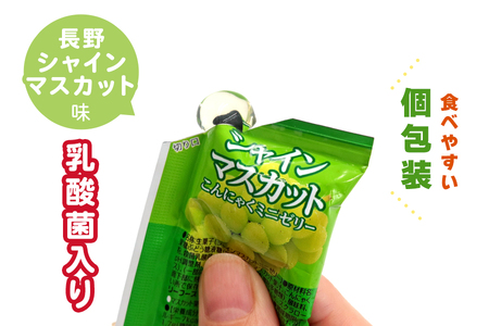こんにゃくパーク「お得用こんにゃくミニゼリー (長野シャインマスカット味)」20個入×9袋 [0241]