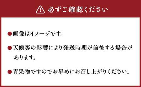 ＜宮崎県産完熟マンゴー 2L×2玉（約700g）＞2026年4月中旬～7月下旬までに順次出荷【MM-f-001】 果物 くだもの フルーツ アーウィン マンゴー デザート 甘味 完熟 宮崎
