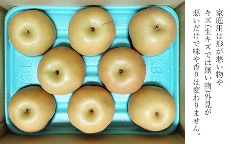 【令和8年産先行予約】家庭用　和梨 あきづき 3kg（6～10玉）　マルタ農園