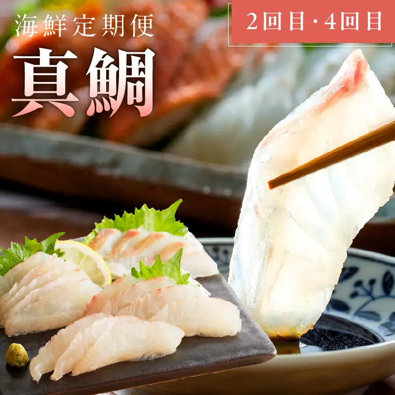 人気海鮮定期便 サーモン／真鯛 食べ比べ 全4回【毎月配送コース 小分け 訳あり 規格外 刺身 海鮮丼 人気 オススメ 冷凍】
