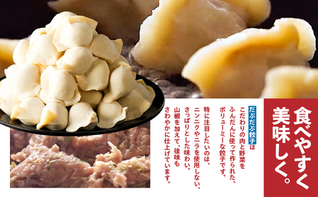 だぶだぶ の 肉汁 を すすりたくなる餃子 40個 T060-001 惣菜 総菜 加工食品